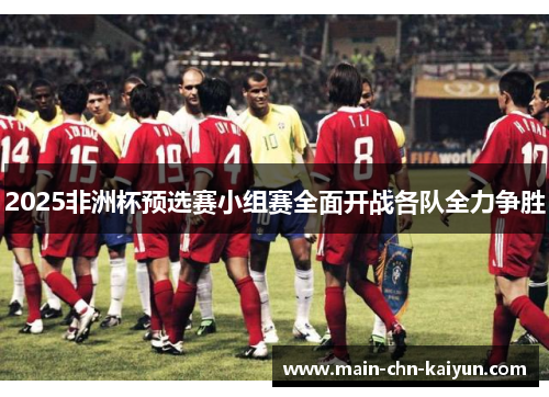 2025非洲杯预选赛小组赛全面开战各队全力争胜 2025非洲杯预选赛小组赛全面开战各队全力争胜