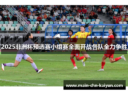 2025非洲杯预选赛小组赛全面开战各队全力争胜